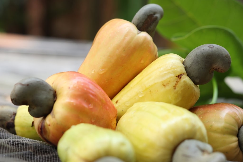 Cashew apples on a table