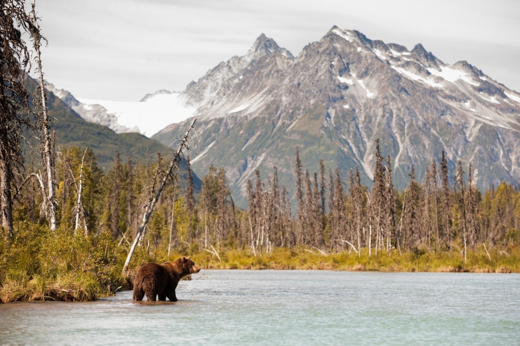 View of Lake Clark, Anchorage with mountains