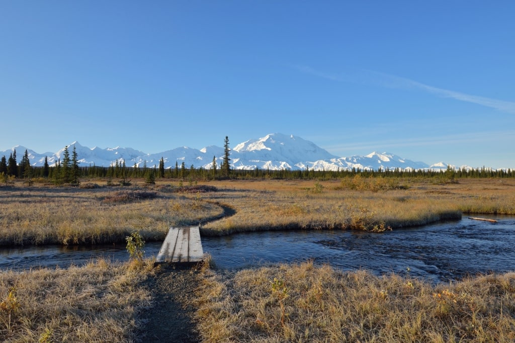 Pathway in McKinley Bar Trail