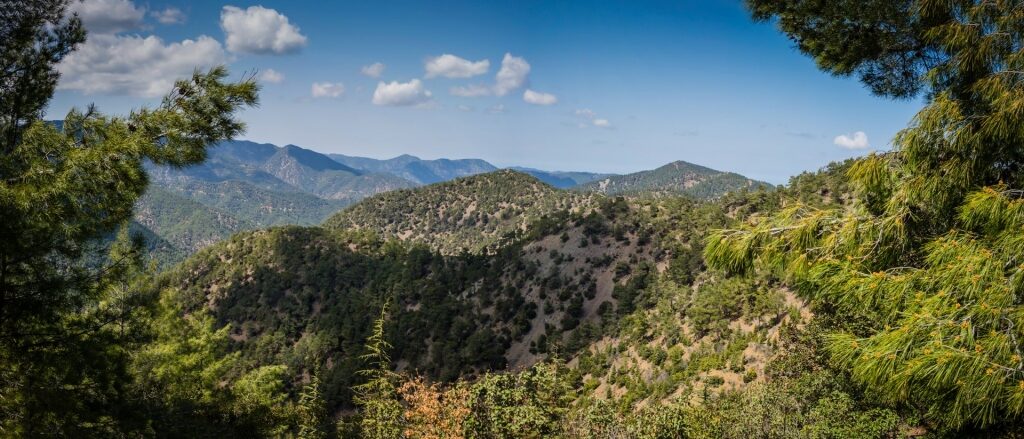 Lush landscape of Troodos Mountains