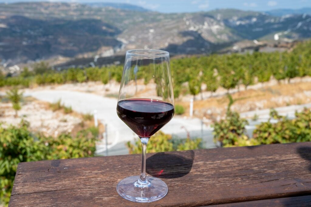 Glass of wine with view of Omodos village