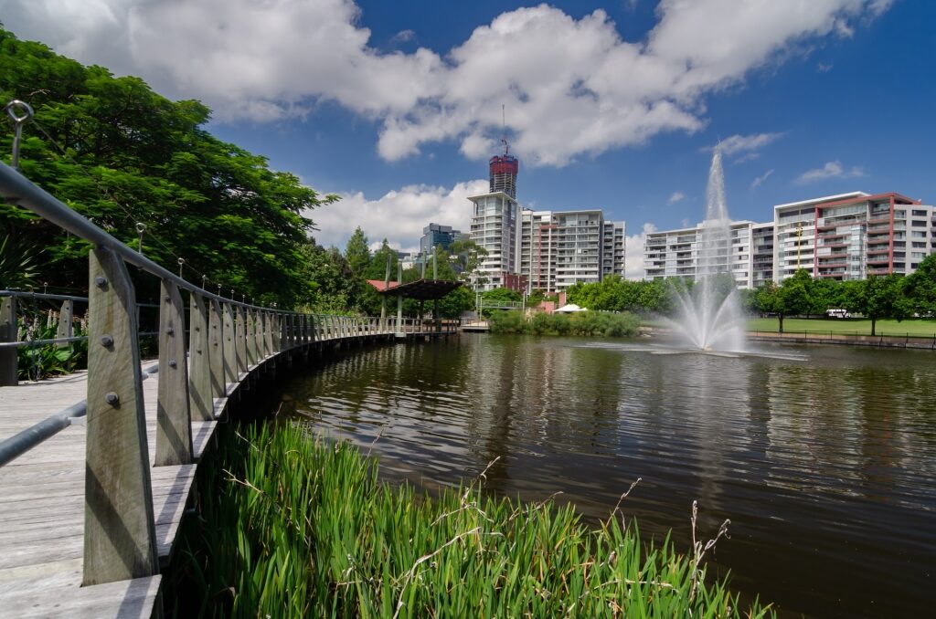 Wooden pathway in Brisbane Botanic Gardens