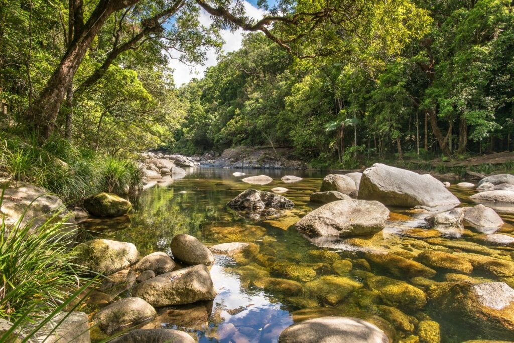 River flowing in Mossman Gorge