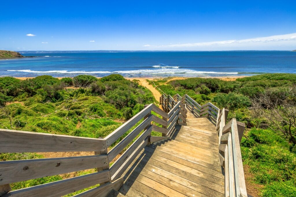 Boardwalk leading to the beach in Phillip Island