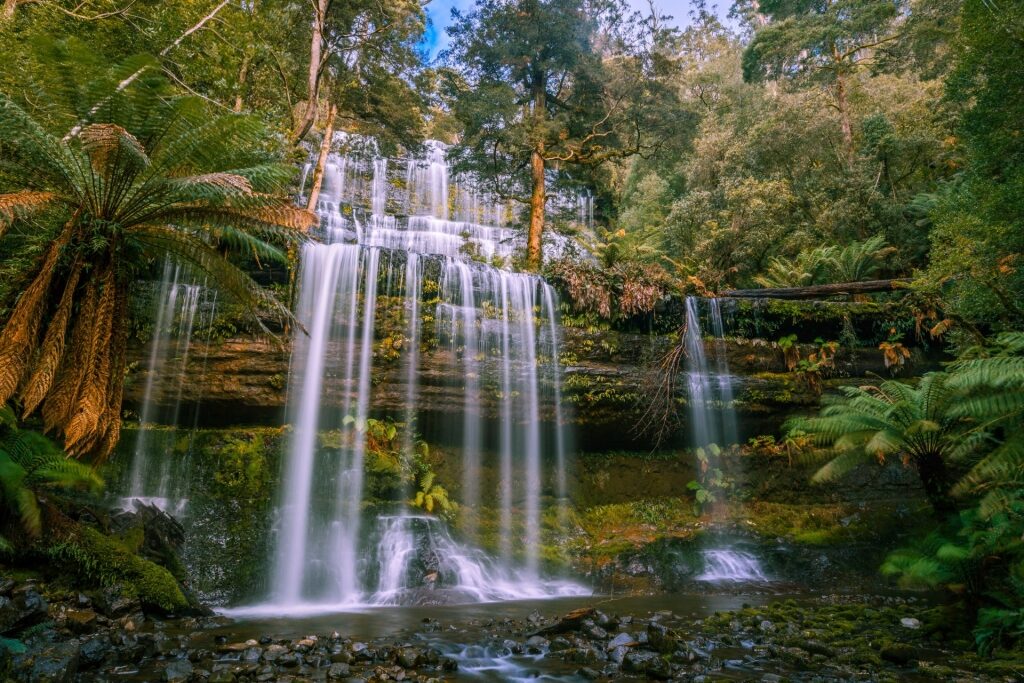 Beautiful Russell Falls in Mount Field National Park