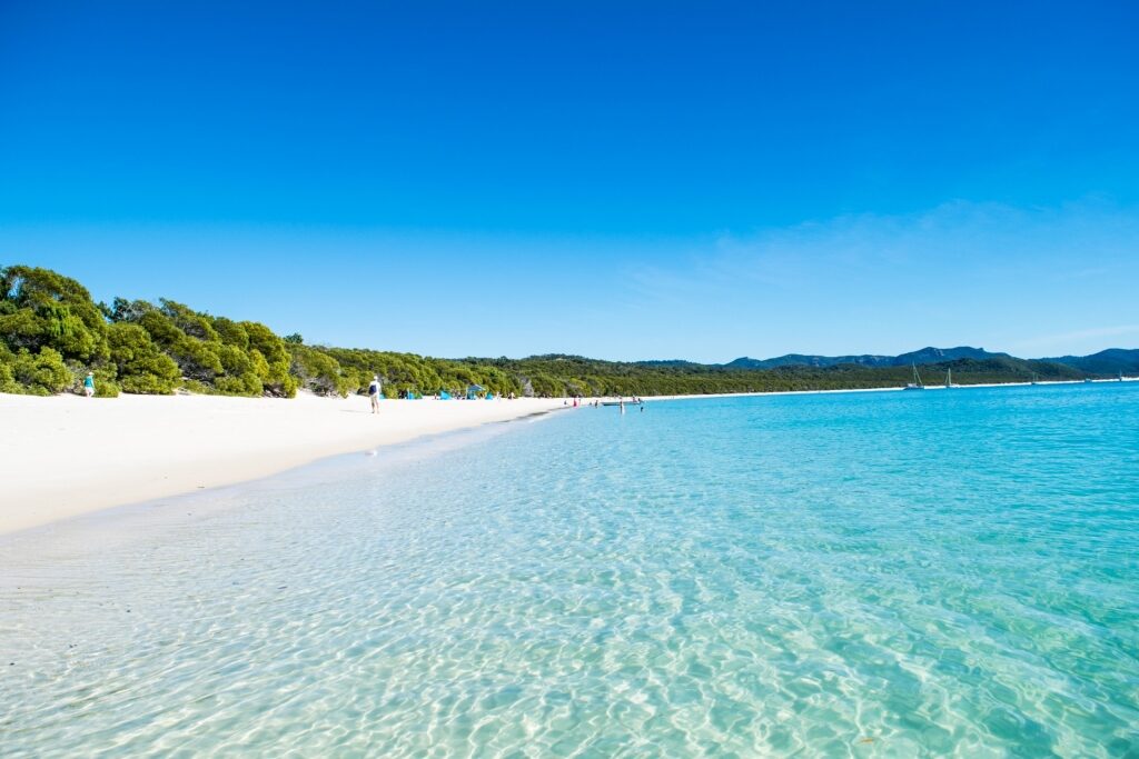 White sand and clear blue water of Whitehaven Beach