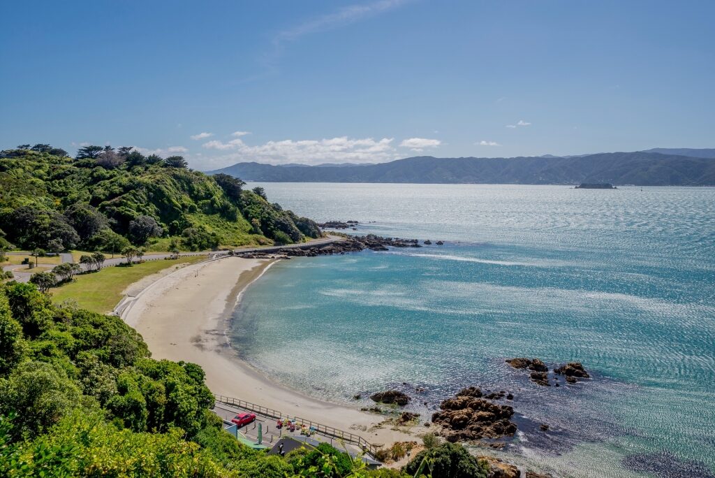 Glistening waters of Scorching Bay Beach, Wellington