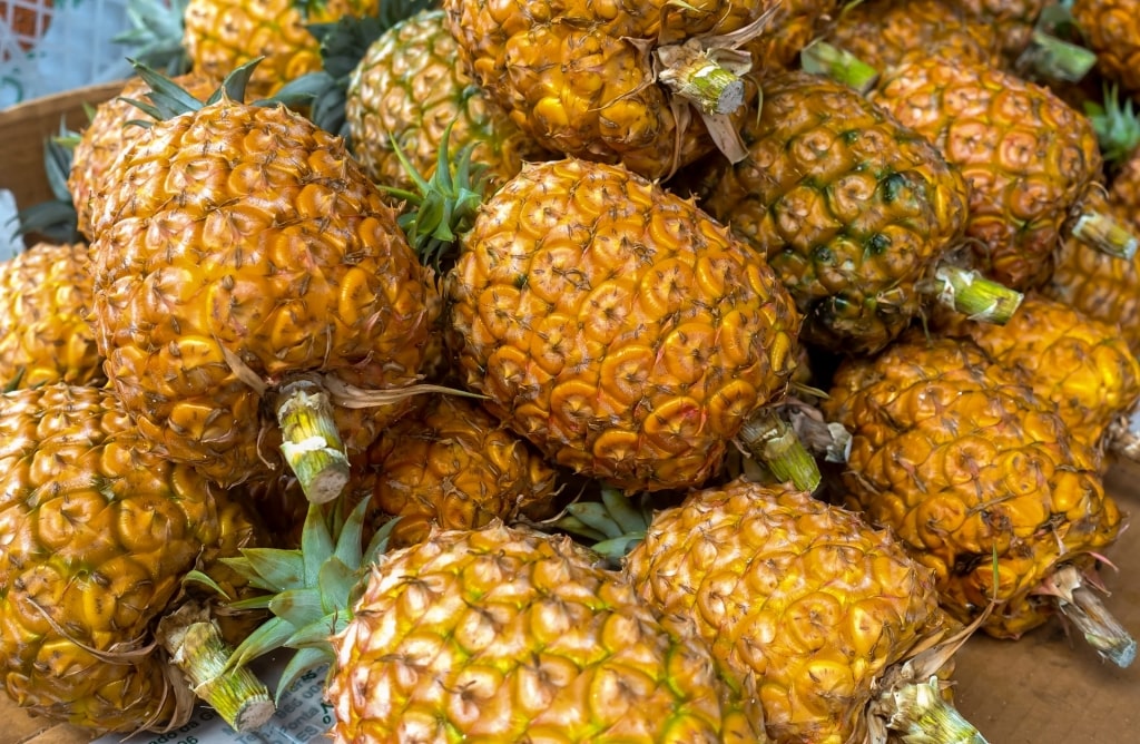 Basket full of Azorean pineapples