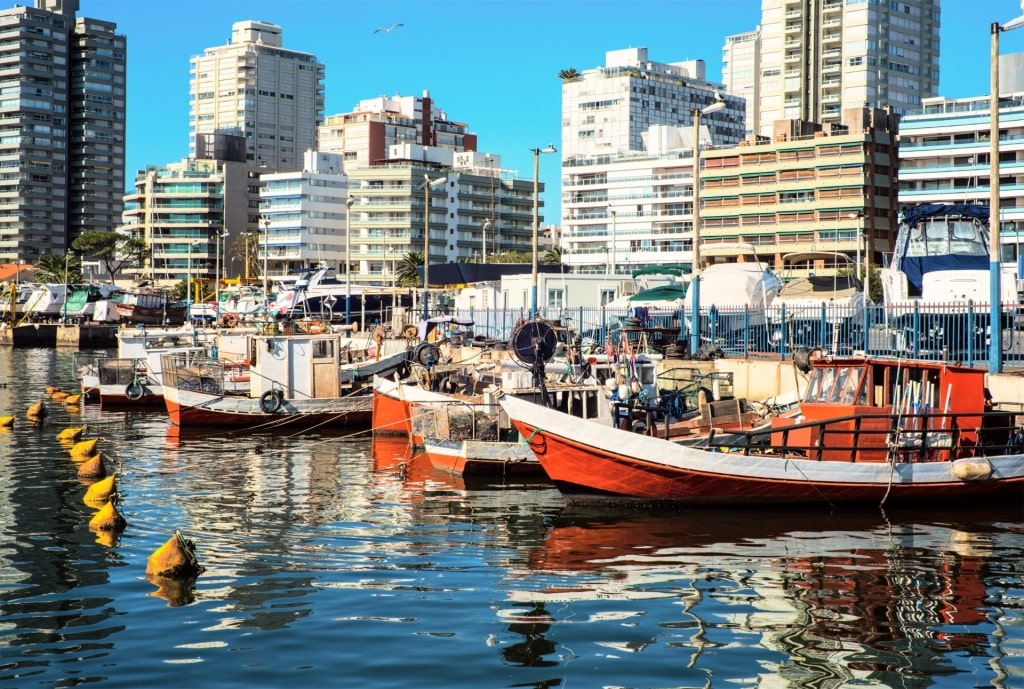 Fishing boats in Punta del Este