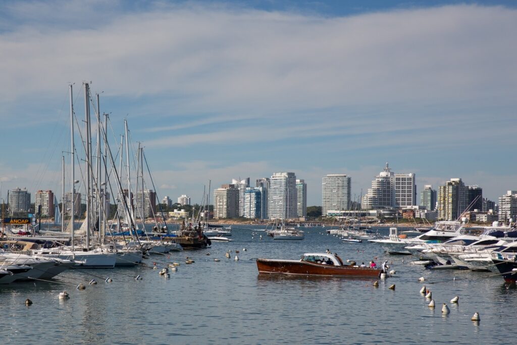 View of Punta del Este Marina with boats