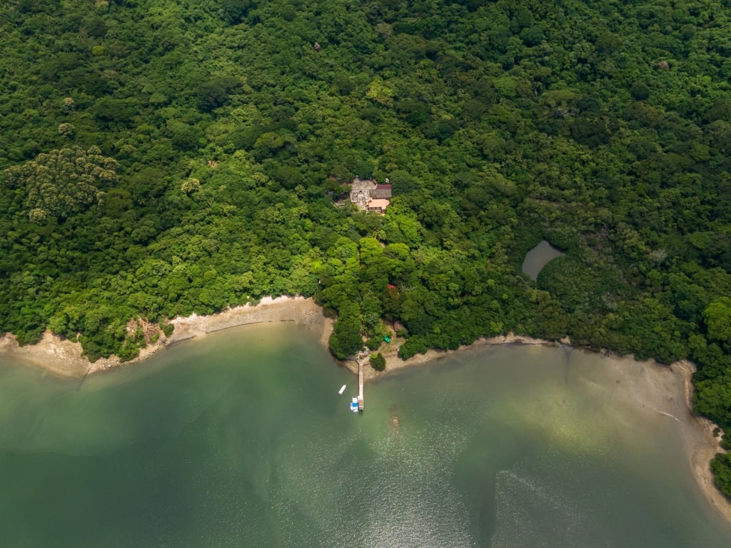 Bird's eye view of lush Isla San Lucas