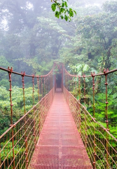 Monteverde Cloud Forest in Puntarenas Costa Rica