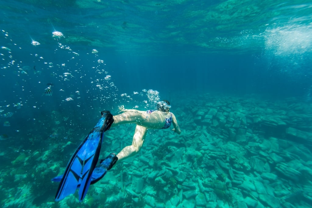 Woman snorkeling in Constellation Shipwreck, Western Blue Cut