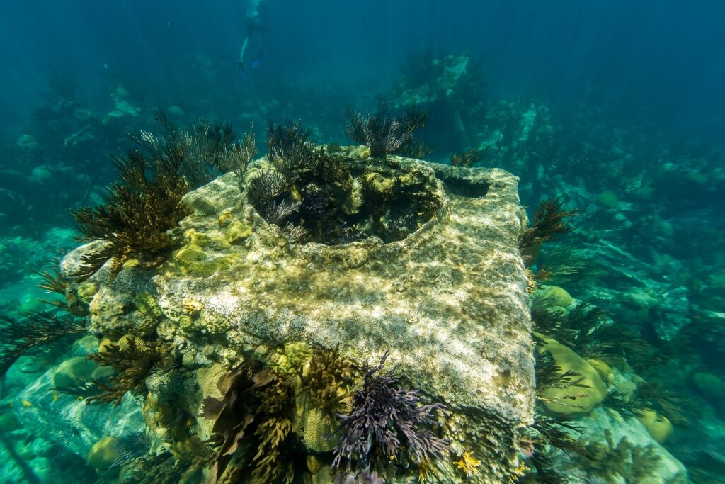 Snorkeling in Bermuda - The Montana Shipwreck, Western Blue Cut