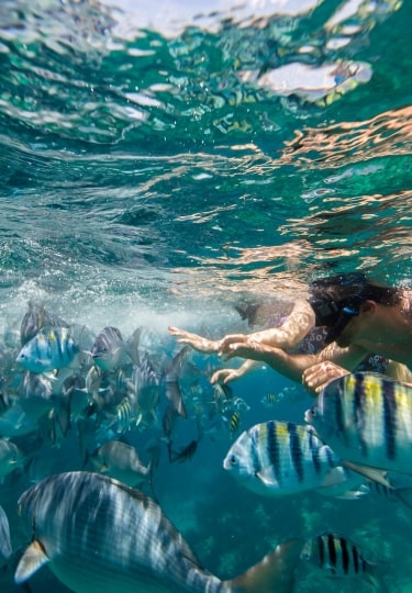 Couple snorkeling in Bermuda