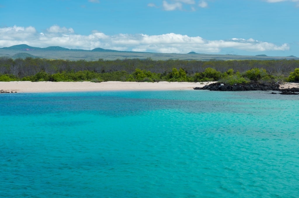 Clear blue waters of North Seymour Island