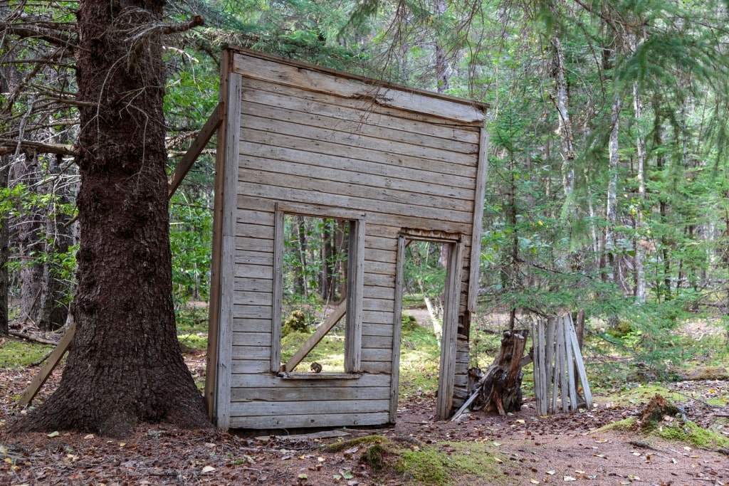 Ruins of an old house along Chilkoot Trail