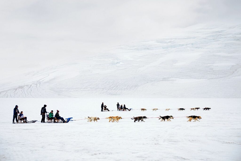 Dog sledding on a snowy path in Alaska