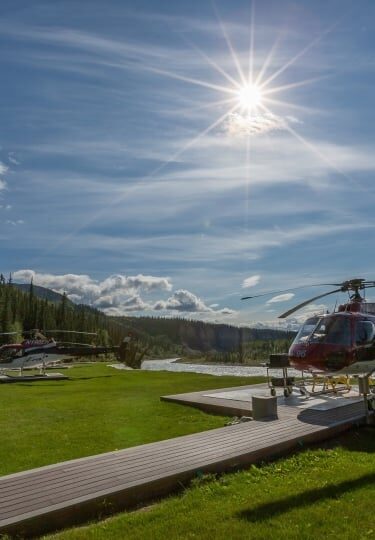 View of summer in Alaska