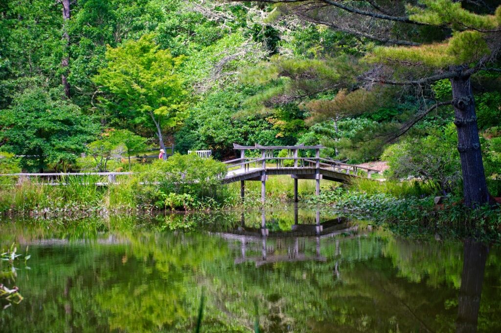 Lush landscape of Mytoi Japanese Gardens