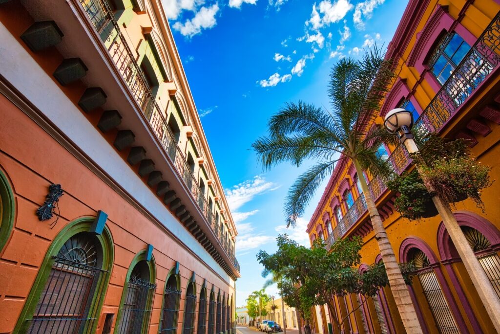 Colorful street of Mazatlan