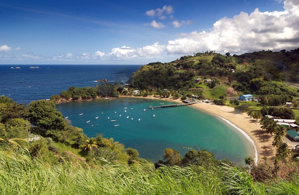 View of Tobago with beach