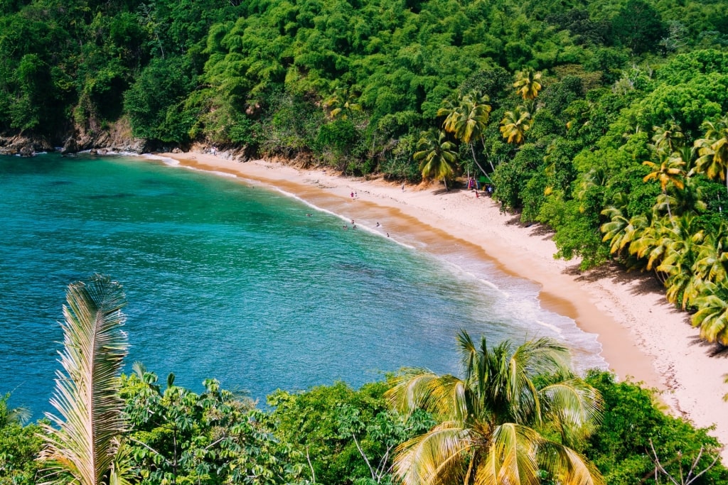 Aerial view of Englishman's Bay