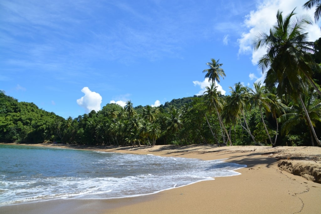 Visit Englishman's Bay, one of the best things to do in Tobago