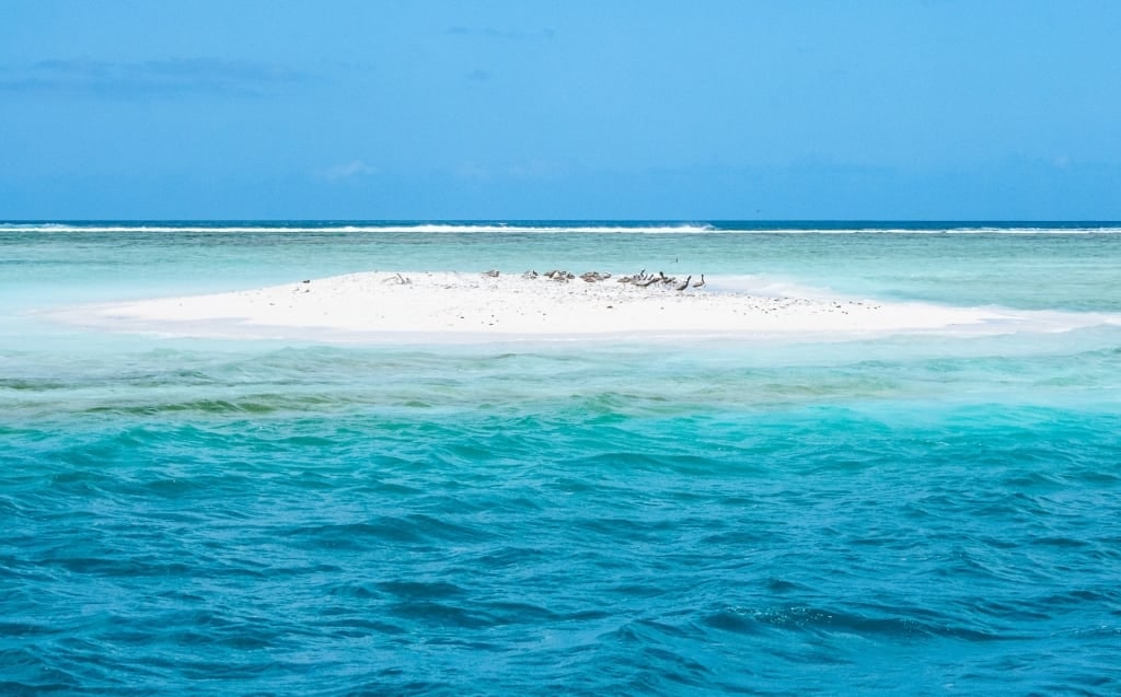 Visit Nylon Pool, one of the best things to do in Tobago