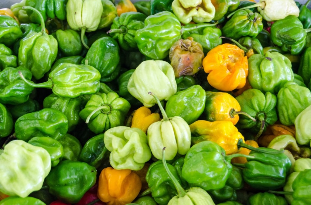 Peppers being sold at the Scarborough Market