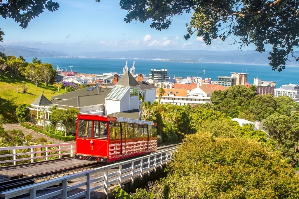 View of Wellington with train