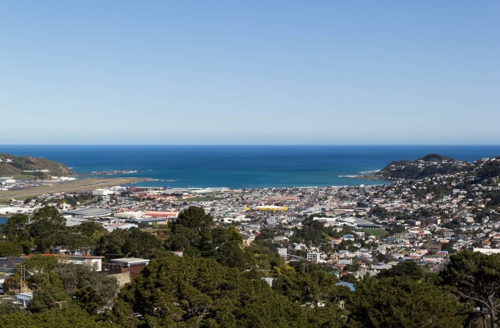 View from Mount Victoria