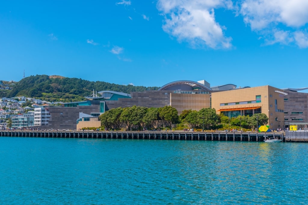 Waterfront view of Te Papa Tongarewa