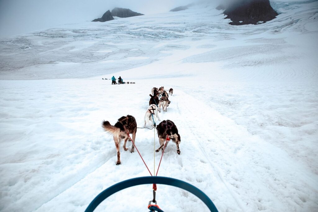 Dog sledding on a snowy path in Alaska
