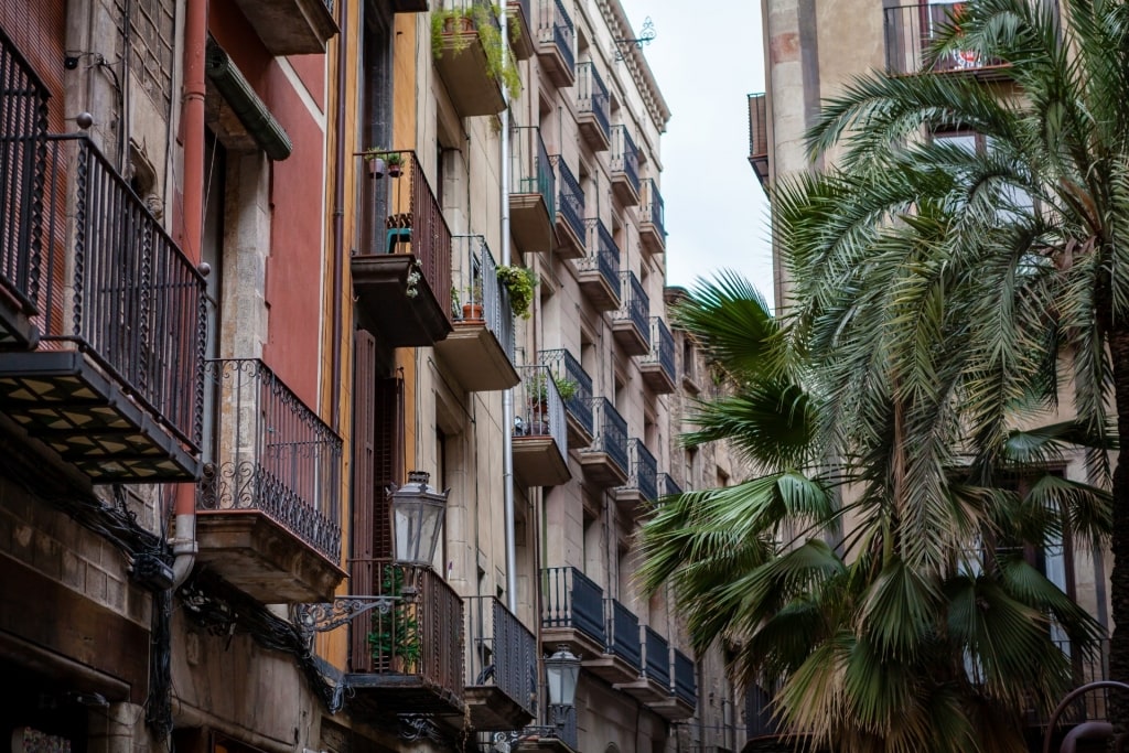 Residential buildings in Raval neighborhood