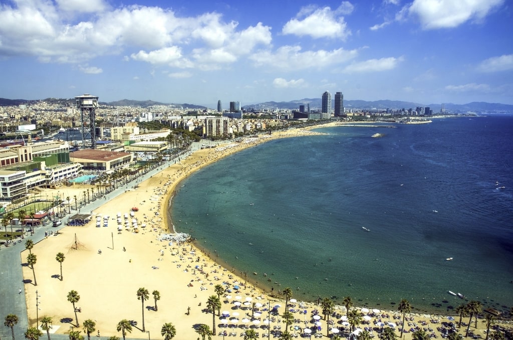 Aerial view of Llarga Beach