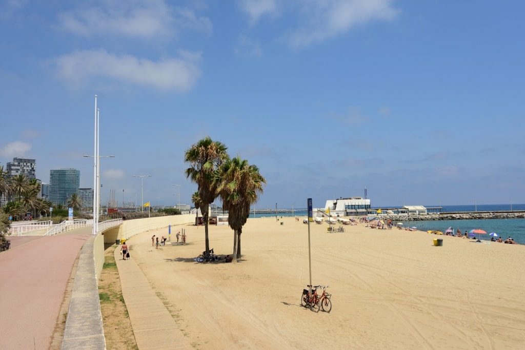 Fine sands of Mar Bella Beach