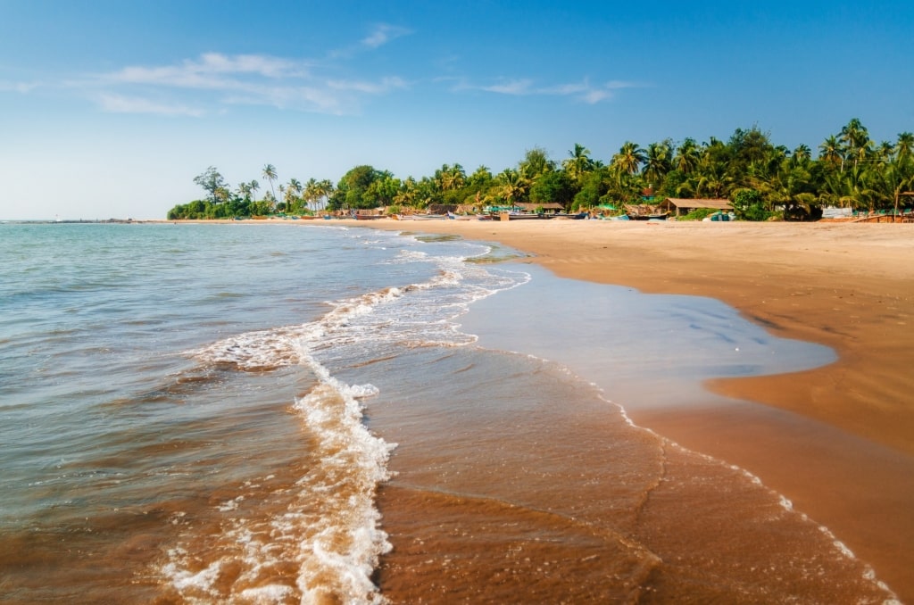 Calm waves of Morjim Beach