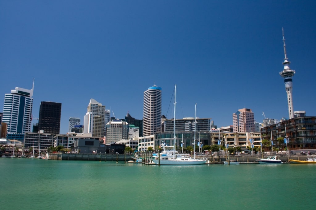 Skyscrapers lined up on Auckland harbor