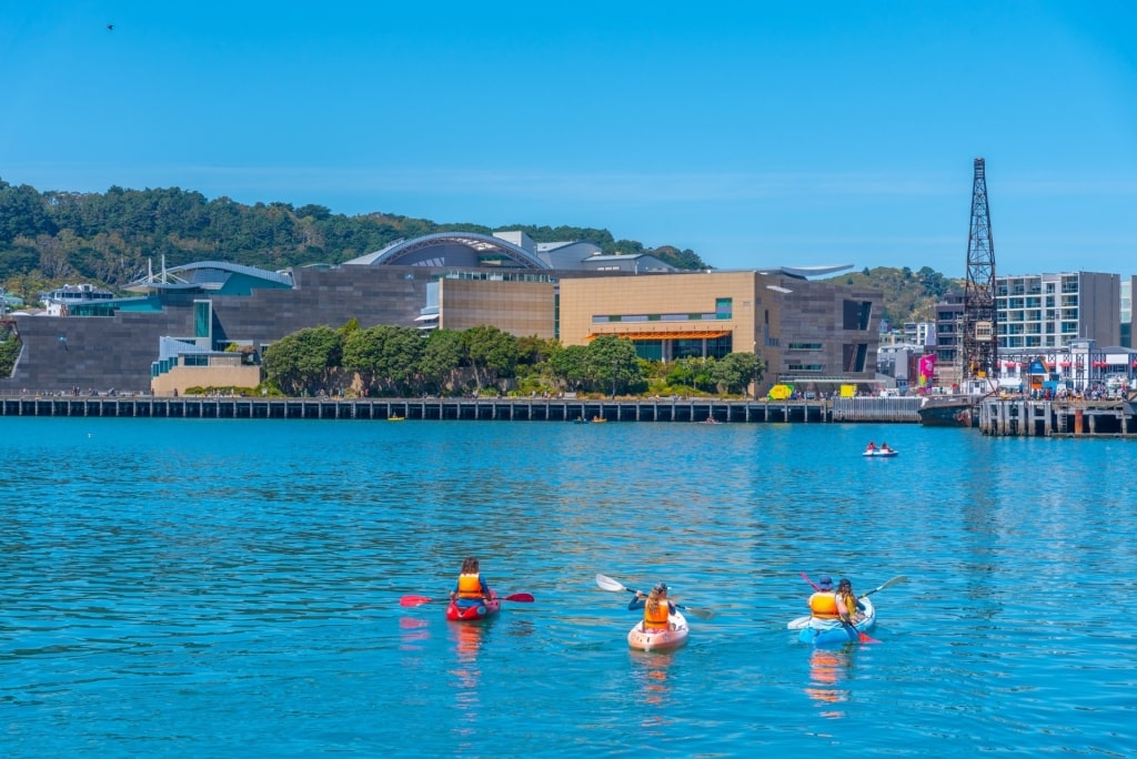 View of Te Papa Tongarewa waterfront