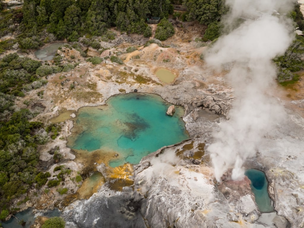 Thermal pools in Whakarewarewa Thermal Valley