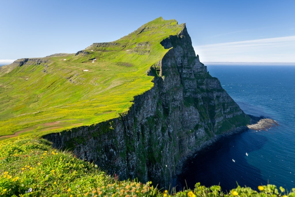 Hornstrandir Nature Preserve, one of the best hikes in Iceland