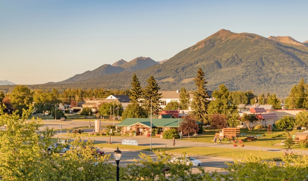 View of Palmer with mountain as backdrop