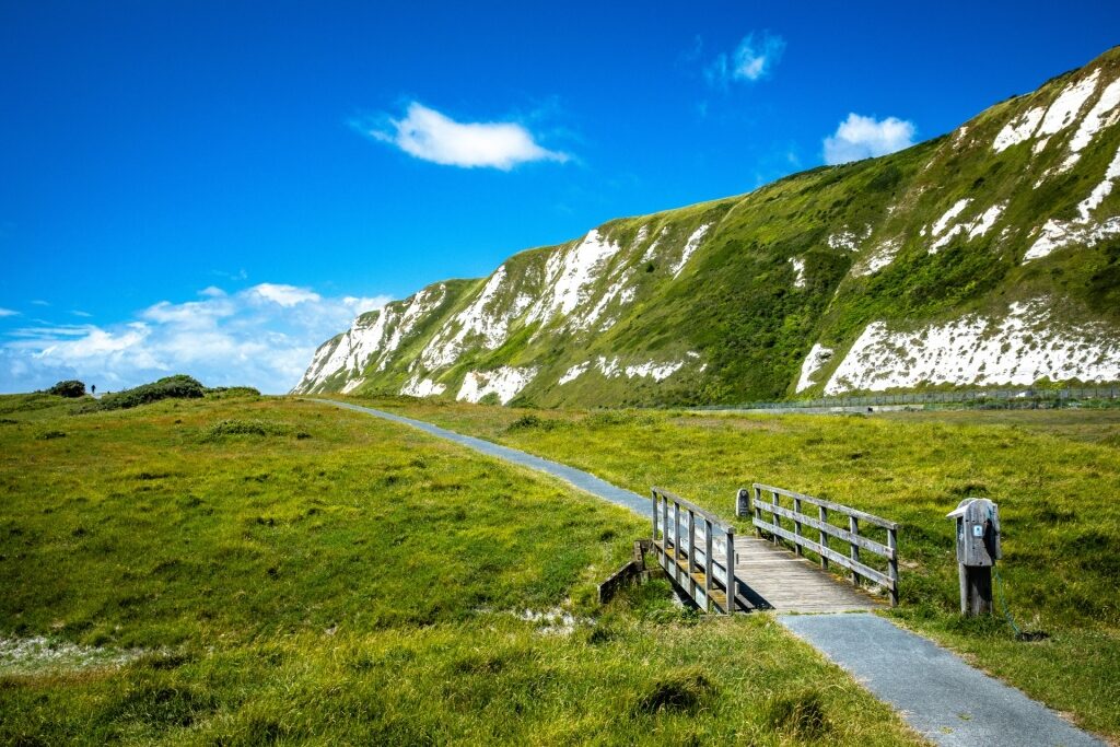 Trail in the Samphire Hoe Nature Reserve