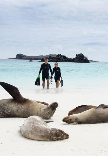 Galapagos beaches