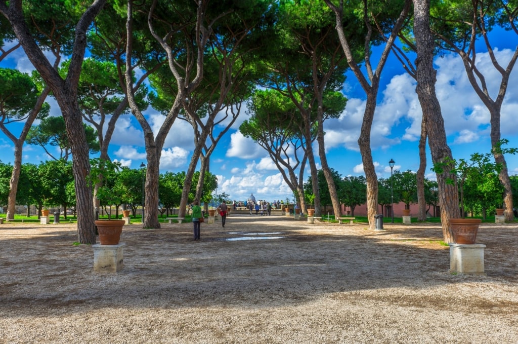 Tree-lined path in Giardino degli Aranci, Rome