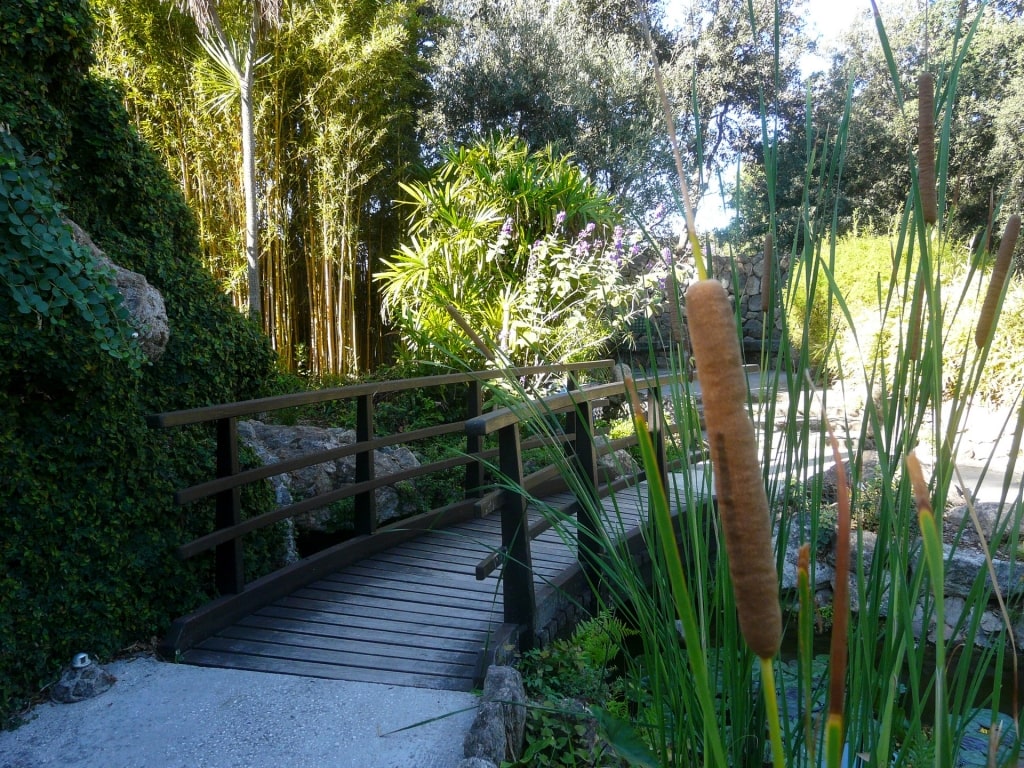 Pathway in La Mortella, Ischia Island