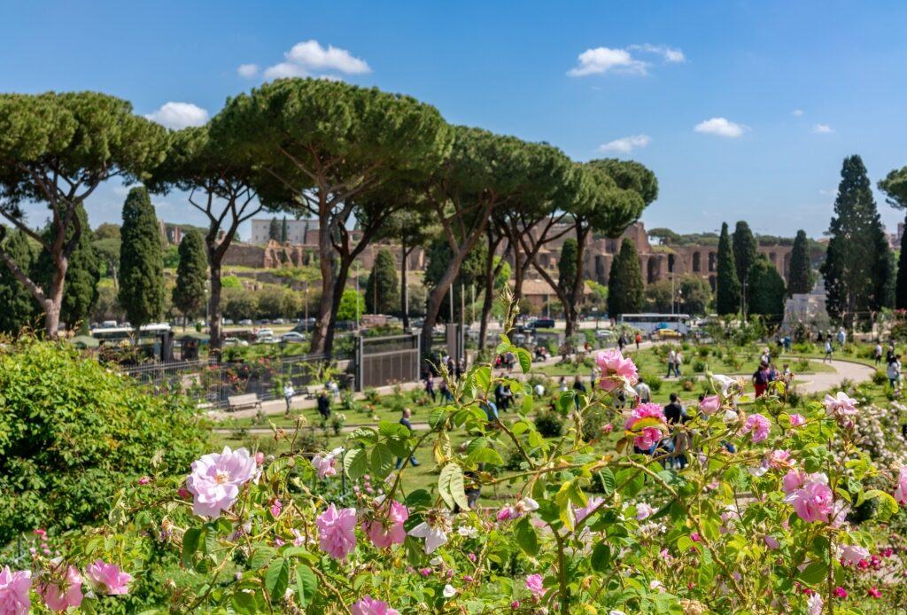 Beautiful landscape of Rose Gardens, Rome