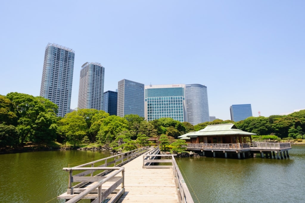 Wooden O-tsutai-bashi bridge in Hamarikyu Gardens