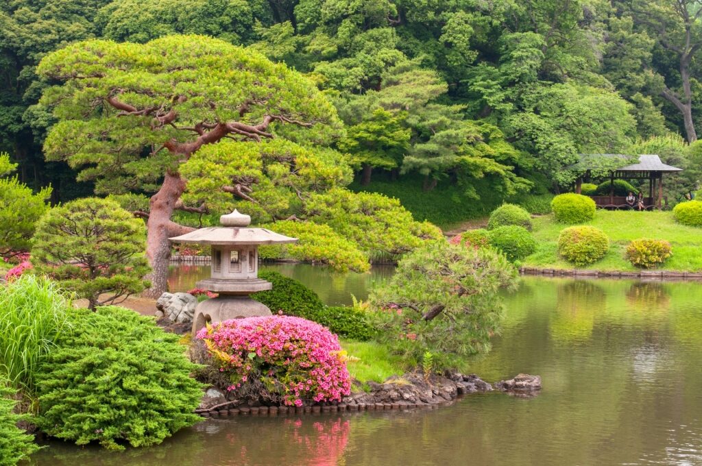 Lush scenery of Kiyosumi Gardens